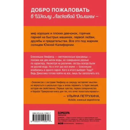 Школа в Ласковой Долине. Парень моей сестры (книга №1)