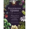 Колдовские травы. Ведьмовской путеводитель по тайным силам растений