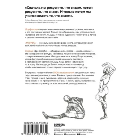 МОРФО. Анатомия для художников