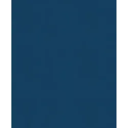 История России. 1796-1825 г. (6)