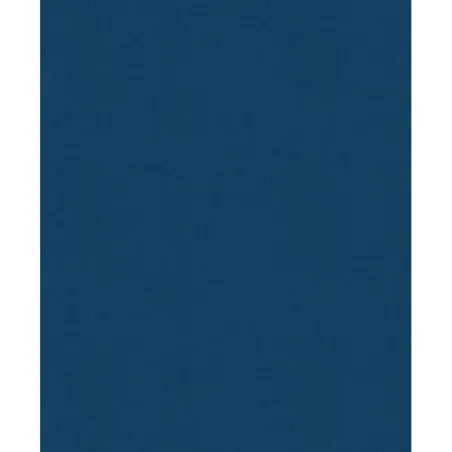 История России. 1796-1825 г. (6)