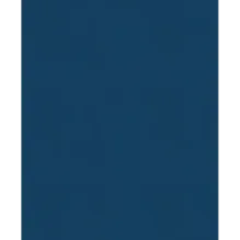 История России. 1796-1825 г. (6)