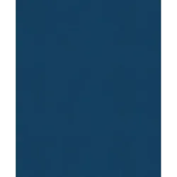 История России. 1740-1796 г. (5)