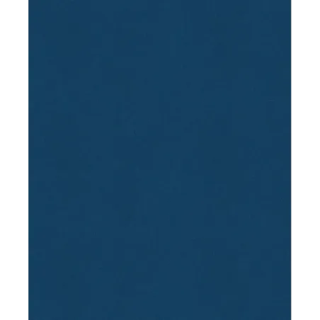 История России. 1740-1796 г. (5)