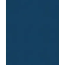 История России. 1740-1796 г. (5)