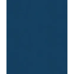 История России. 1560-1670 г. (3)