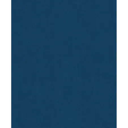 История России. 1560-1670 г. (3)