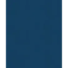 История России. 1560-1670 г. (3)