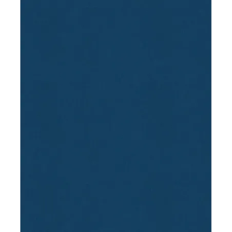 История России. 1304–1560 г.(2)