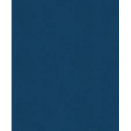 История России. Славяне до IX в. –1304 г. (1)