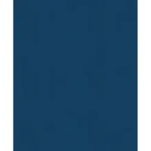 История России. Славяне до IX в. –1304 г. (1)