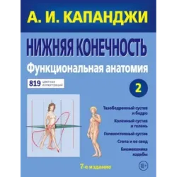 Нижняя конечность Функциональная анатомия (обновленное издание)