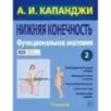 Нижняя конечность Функциональная анатомия (обновленное издание)