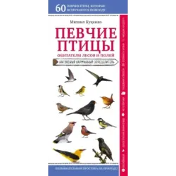 Певчие птицы. Обитатели лесов и полей