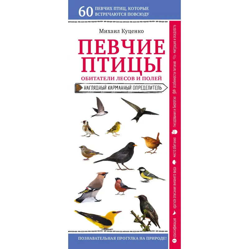 Певчие птицы. Обитатели лесов и полей