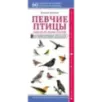 Певчие птицы. Обитатели лесов и полей