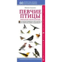 Певчие птицы. Обитатели лесов и полей