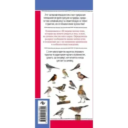 Певчие птицы. Обитатели лесов и полей