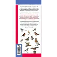 Певчие птицы. Обитатели лесов и полей