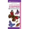 Бабочки. Наглядный карманный определитель Бабочки. Наглядный карманный определитель