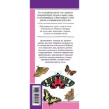 Бабочки. Наглядный карманный определитель