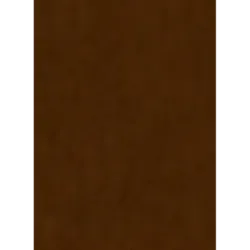 Библия. Книги Священного Писания Ветхого и Нового Завета, с параллельными местами, с цветными иллюстрациями, синодальный пе