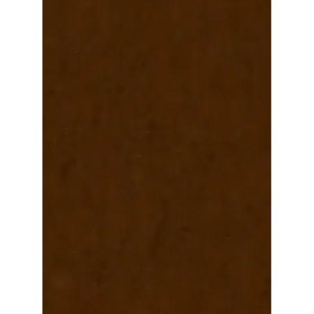 Библия. Книги Священного Писания Ветхого и Нового Завета, с параллельными местами, с цветными иллюстрациями, синодальный пе