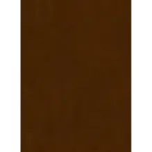 Библия. Книги Священного Писания Ветхого и Нового Завета, с параллельными местами, с цветными иллюстрациями, синодальный пе