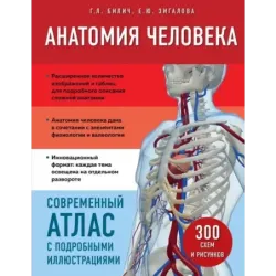 Анатомия человека. Современный атлас с подробными иллюстрациями
