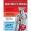 Анатомия человека. Современный атлас с подробными иллюстрациями