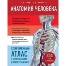 Анатомия человека. Современный атлас с подробными иллюстрациями