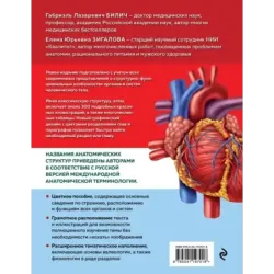 Анатомия человека. Современный атлас с подробными иллюстрациями
