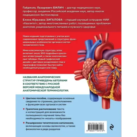 Анатомия человека. Современный атлас с подробными иллюстрациями