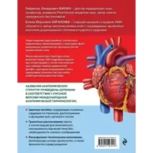 Анатомия человека. Современный атлас с подробными иллюстрациями