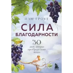 Сила благодарности. 30 дней, которые преобразят вашу жизнь