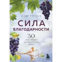 Сила благодарности. 30 дней, которые преобразят вашу жизнь