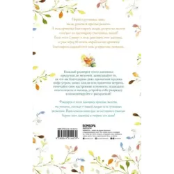 Лучшие дни начинаются с благодарности. 26 недель до счастья и радости через благодарность