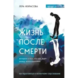 Жизнь после смерти. История о том, что нас ждёт между воплощениями