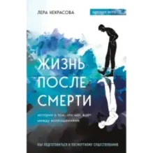 Жизнь после смерти. История о том, что нас ждёт между воплощениями