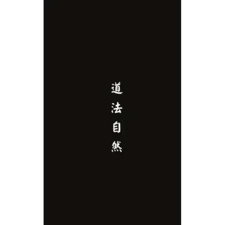 Метафорические карты перемен. И-цзин Бронислава Виногродского