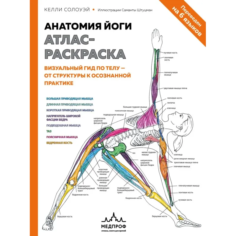 Анатомия йоги атлас-раскраска. Визуальный гид по телу — от структуры к осознанной практике