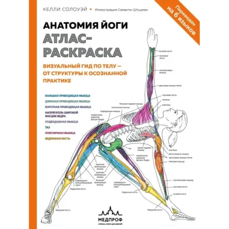 Анатомия йоги атлас-раскраска. Визуальный гид по телу — от структуры к осознанной практике