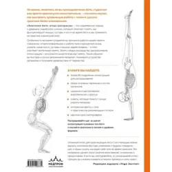 Анатомия йоги атлас-раскраска. Визуальный гид по телу — от структуры к осознанной практике