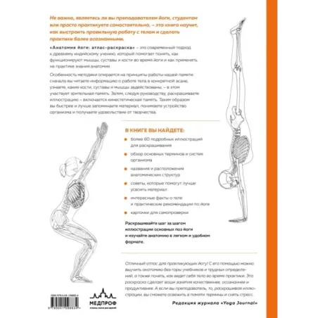 Анатомия йоги атлас-раскраска. Визуальный гид по телу — от структуры к осознанной практике
