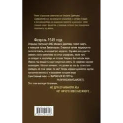 Девятаев. Из фашистского ада - в небо (кинообложка)