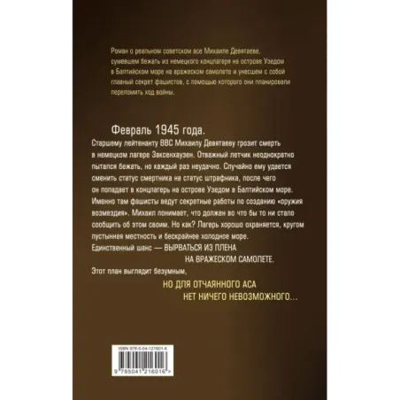 Девятаев. Из фашистского ада - в небо (кинообложка)
