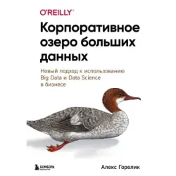 Корпоративное озеро больших данных. Новый подход к использованию Big Data и Data Science в бизнесе