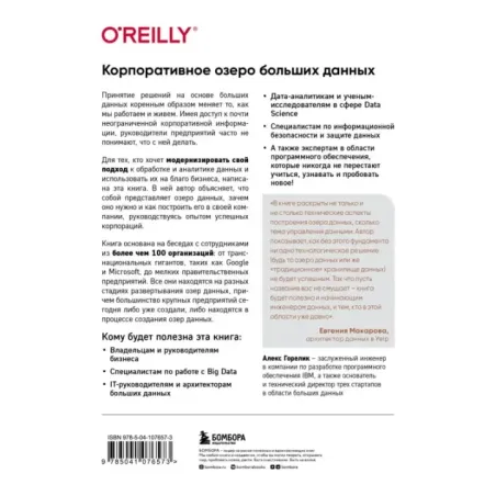 Корпоративное озеро больших данных. Новый подход к использованию Big Data и Data Science в бизнесе