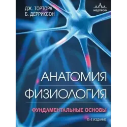 Анатомия. Физиология. Фундаментальные основы. 15-е издание
