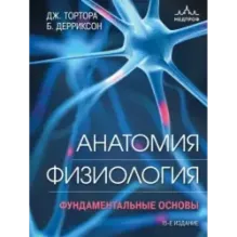 Анатомия. Физиология. Фундаментальные основы. 15-е издание